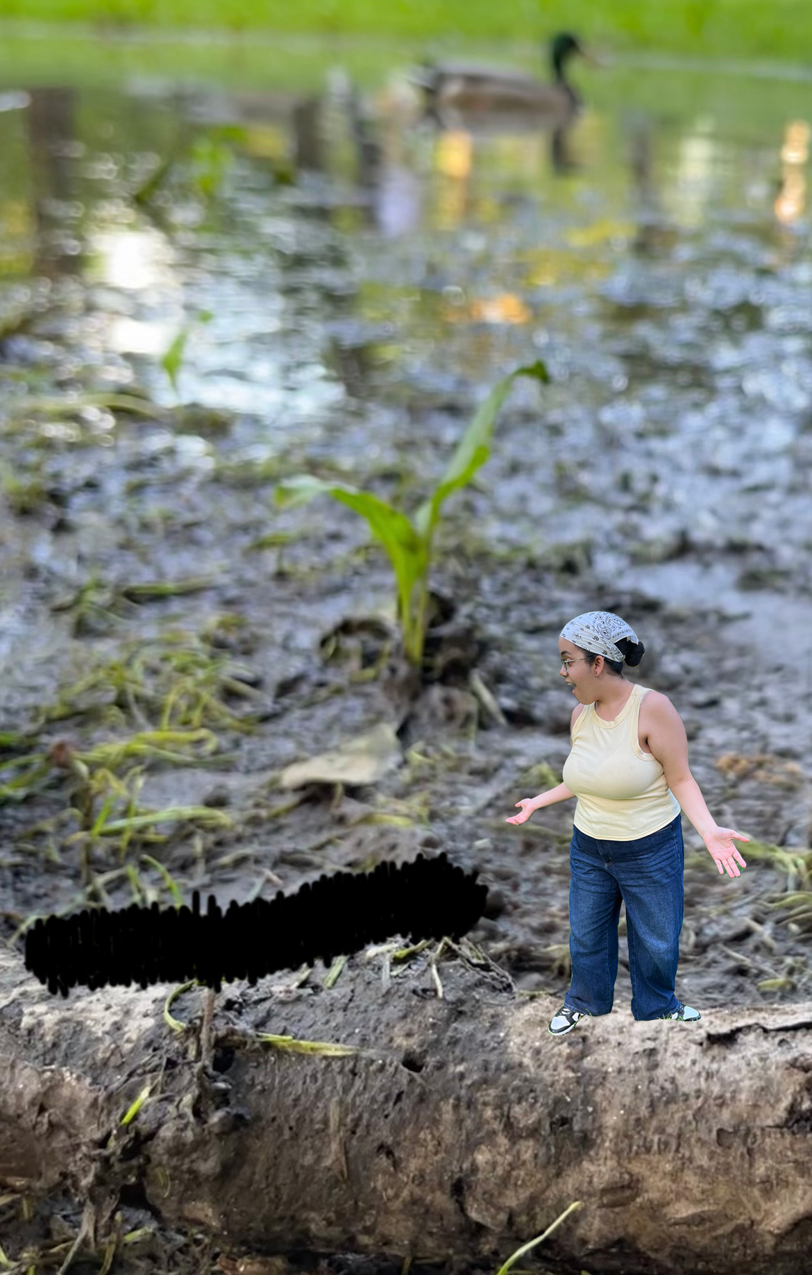 An image of a caterpillar showing me some spectacular sites at Central Park.